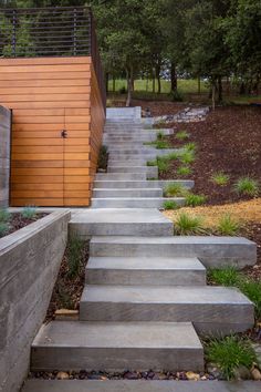 concrete steps lead up to the side of a modern home with trees in the background