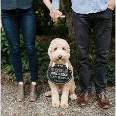 a couple holding hands while standing next to a dog with a sign on it's collar