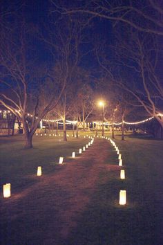 many lit candles are lined up in the grass near some trees at night with no leaves on them