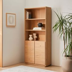 a wooden bookcase sitting next to a potted plant