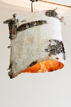 a light hanging from a rope next to a white tree trunk with bark on it