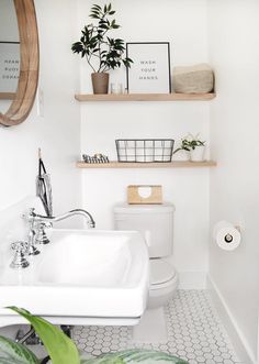 a bathroom with a sink, toilet and shelves on the wall above it that are filled with potted plants