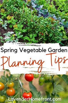 a garden with tomatoes and other vegetables growing in it, the title says spring vegetable garden planning tips