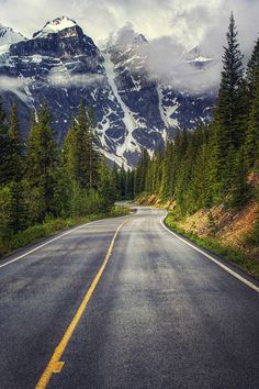 an empty road with mountains in the background and pine trees on both sides, surrounded by evergreens