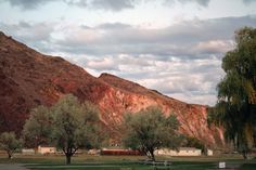 there is a bench in the grass near trees and mountains that are behind it,