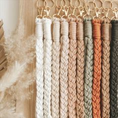 there are many different colors of rope hanging on the wall