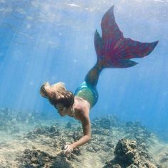 Mermaid Pose, Mermaid Photography, Mermaid Man, Mermaid Cove, Mermaid Photos, Siren Mermaid, Mermaid Swimming, Mermaid Fairy, Real Mermaids