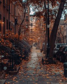 an empty city street with lots of leaves on the ground and trees lining the sidewalk