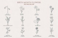 the birth month flowers are shown in blue ink