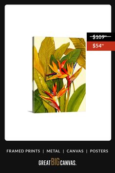 an image of a bird of paradise on a white background with the text frame prints metal canvass posters great big canvas $ 59 99