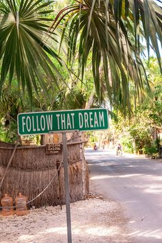 a green street sign sitting on the side of a road next to a palm tree