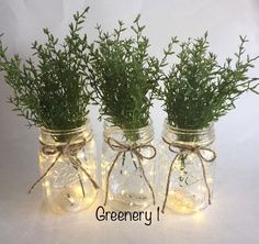 three mason jars with lights and greenery in them