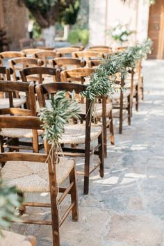 rows of wooden chairs with green plants on them