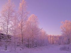 the trees are covered in snow on a sunny day with purple skies and blue sky