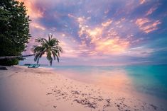 a palm tree sitting on top of a sandy beach under a colorful sky with clouds