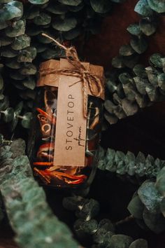 a jar filled with lots of different types of food sitting on top of pine cones