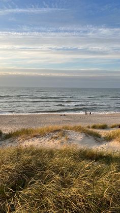 people are walking on the beach by the water and sand dunes with tall grass in front of them