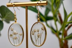 a pair of earrings with dried flowers in them on a stand next to a potted plant