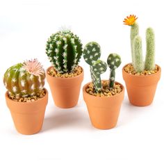 PRICES MAY VARY. 【Realistic Faux Cactus Plants】: Our artificial cactus are cute and unique , an eye-catching flower blooms on each mini cactus, the roots are covered in small rocks, it has natural look, lifelike color and soft touch, which is hardly to distinguish between it and other small artificial plants 【Premium Material】:These faux succulents are made of high quality PU material, the flower and the spines of the cactus plant are made of plastic, its spines are soft and it won't hurt your h Ikea Cactus Decor, Cactus Desk Decor, Mini Cactus Plants, Mini Cactus Pots, Frog Bathroom, Fake Cactus, Cactus Miniature Garden, Fake Potted Plants, Desk Plant