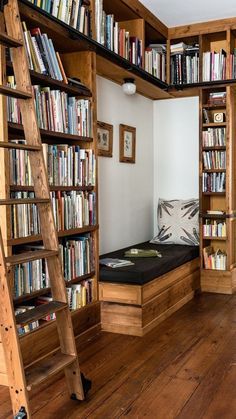 there is a bunk bed in the corner of this room with bookshelves and ladder