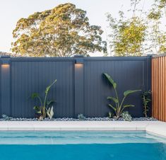 an empty swimming pool next to a wooden fence with plants growing on the sides and around it