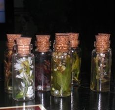 six glass bottles with flowers in them sitting on a counter top next to each other