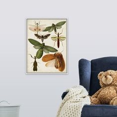 a teddy bear sitting in a blue chair next to a wall mounted insect print on the wall