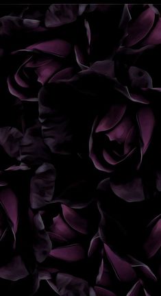 an image of purple flowers in the dark