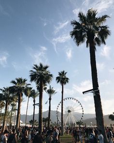 a crowd of people standing around palm trees and a ferris wheel in the distance with mountains in the background