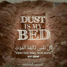 the words dust is my bed written in arabic and english on a brown fur background