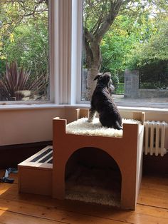 a small dog sitting on top of a cat bed in front of a large window