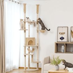 two cats are sitting on top of a cat tree in the corner of a living room