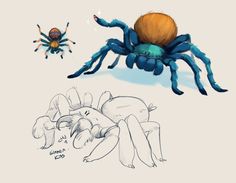 an image of a spider and another drawing