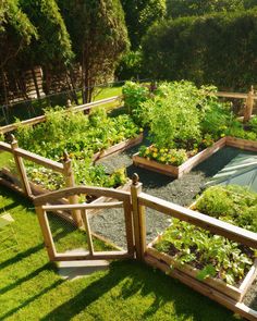 a garden filled with lots of different types of plants and vegetables on top of green grass