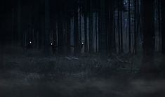 two people standing in the woods at night with their eyes glowing through fogy trees