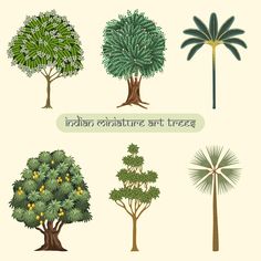 the different types of trees in india