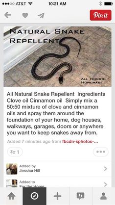 an image of a snake that is on the ground with caption for natural snake repellent