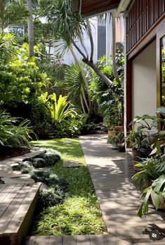 an outdoor garden with lots of greenery and plants on the side of the house