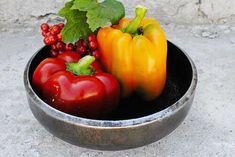 two peppers and some other vegetables in a metal bowl on the cement floor with green leaves