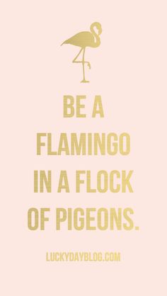 a pink poster with an image of a flamingo and the words, be a flamingo in a flock of pigeons