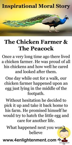 Short inspirational moral story the chicken farmer and the peacock Small English Story With Moral, Stories With Moral Lessons In English, Short Story With Moral Lesson, Moral Stories Life Lessons, Short Moral Stories In English, Moral Stories For Kids English, Short Stories With Moral Lessons, Small Story With Moral, Short Moral Stories For Kids