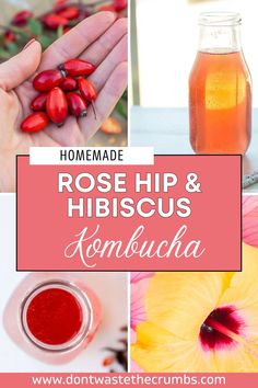 rose hip and hibiscus kombucha recipe collage with text overlay