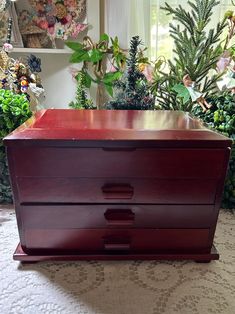 a red wooden box sitting on top of a rug next to potted plants in a room