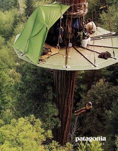 a man hanging from the side of a tall tree with an umbrella over his head