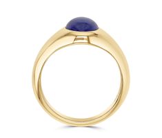 Our Skeie's signet ring, set with a hand-selected cabochon tanzanite, in a gorgeous high polish 14kt gold. Tanzanite measures 10x8mm Clean Gold Jewelry, Gold Stock, Traditional Engagement Rings, Buying An Engagement Ring, Diamond Guide, Tanzanite Gemstone, Alternative Engagement Rings, Band Engagement Ring, Unisex Ring