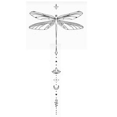 a line drawing of a dragonfly on a white background with arrows pointing up and down