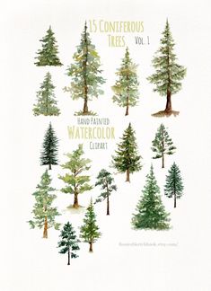 watercolor trees are shown with the words, 15 contempoous trees vol 1