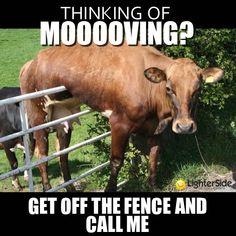 a brown cow standing next to a fence with the words thinking of moooing? get off the fence and call me