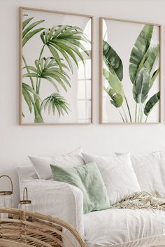 two green plants are hanging on the wall above a white couch in a living room