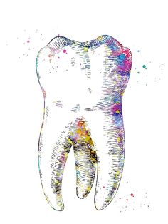 Tooth Watercolor, Tooth Poster, Dental Illustration, Nurses Week Quotes, Dental Images